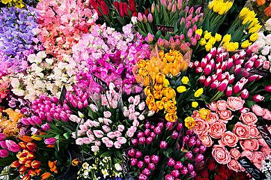 《艾尔登法环》15分钟官方实机演示视频公布