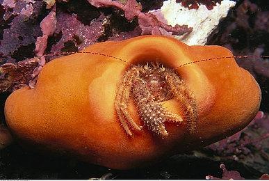 《异度神剑3》发售日提前 现已改为7月29日发售